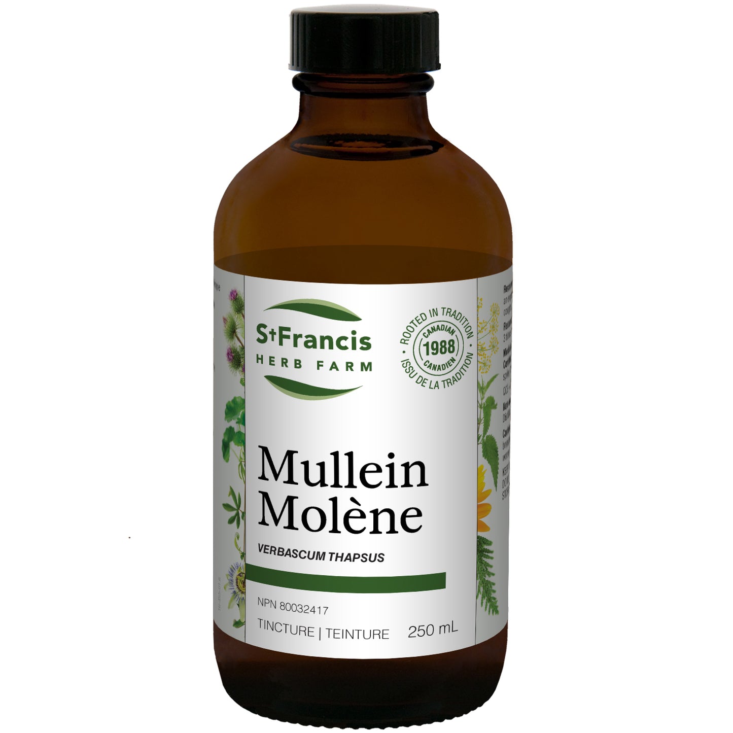 Molène (250ml )