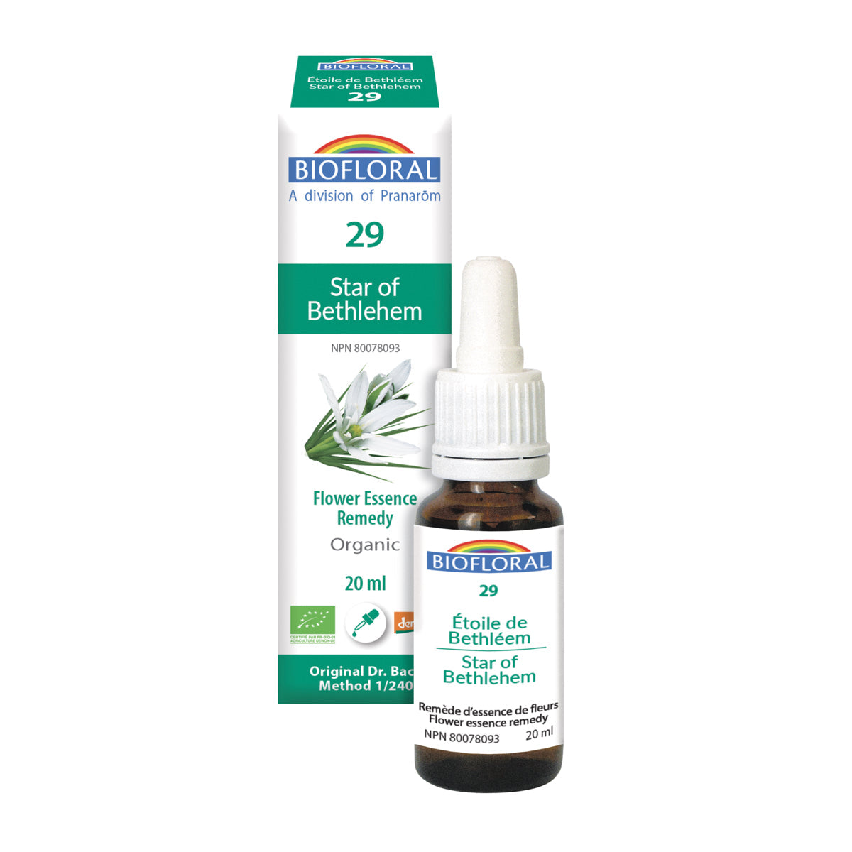 Etoile De Bethléem (20ml)