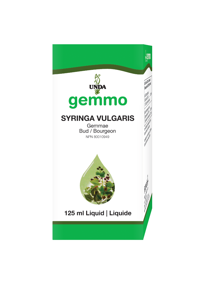 Syringa Vulgaris (125 Ml)