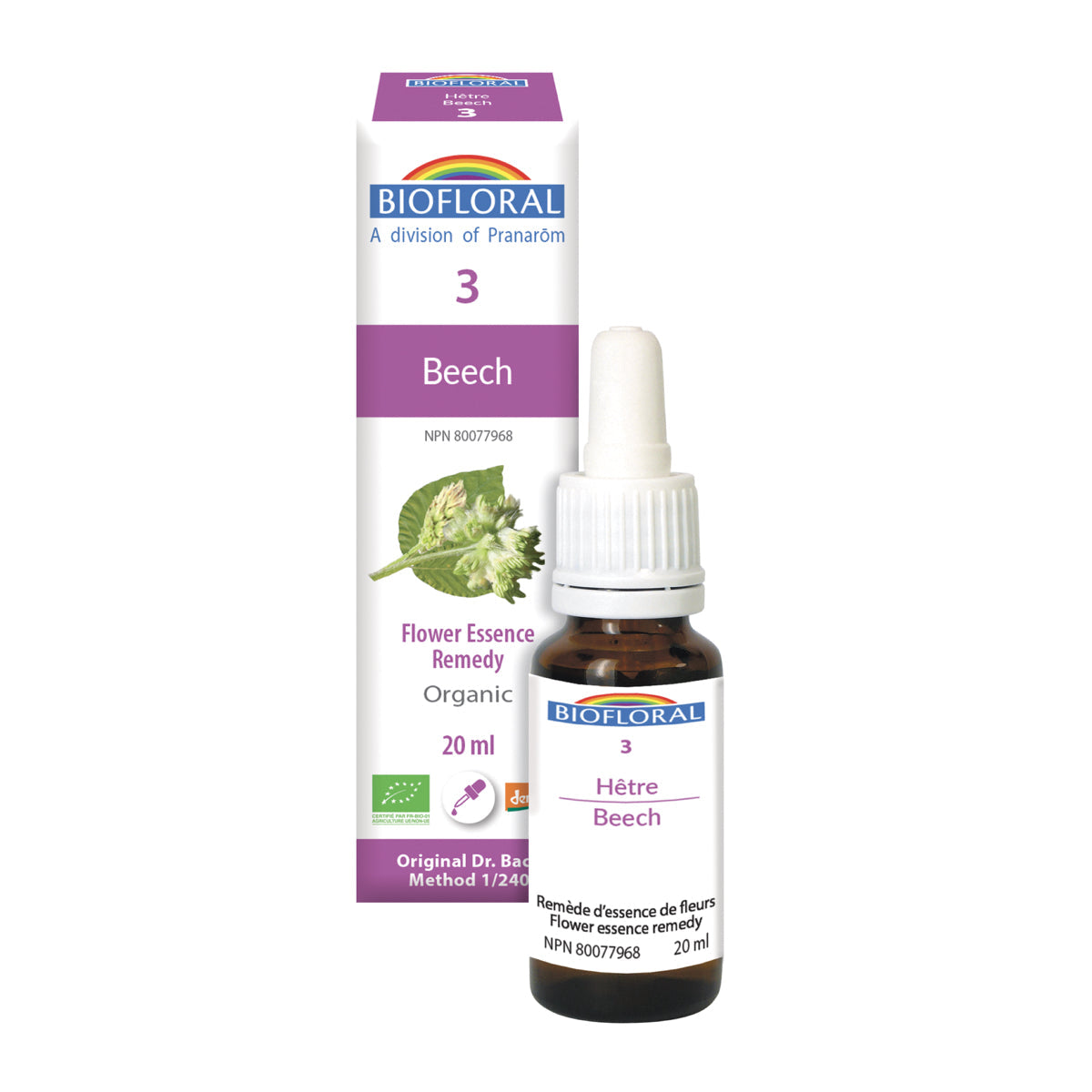 Hêtre (20ml)