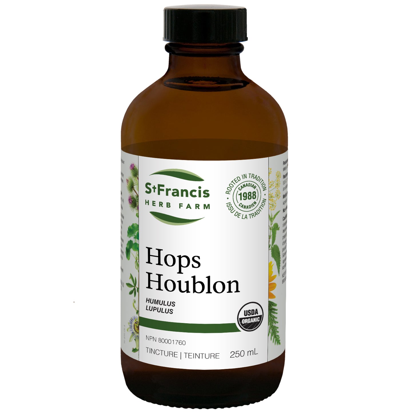 Houblon (250ml )