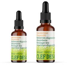 Teinture Pissenlit (50ml)