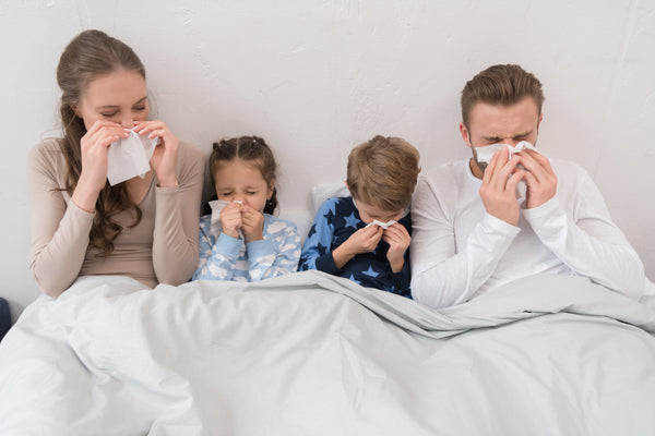 Combattre naturellement les symptômes du rhume et de la grippe.
