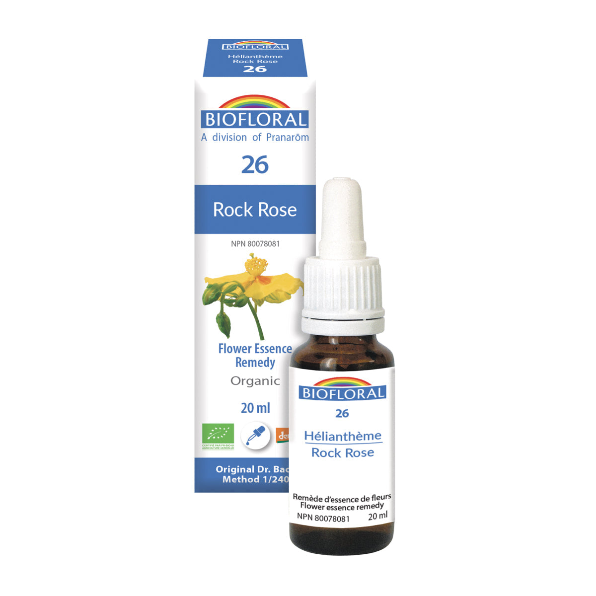 Hélianthème (20ml)