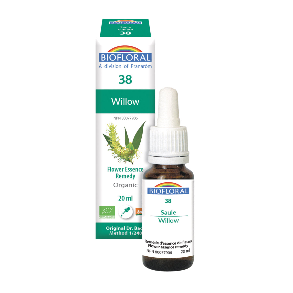 Saule (20ml)