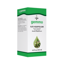 Ilex Aquifolium (125 Ml)