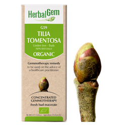 Tilia Tomentosa (15ml)