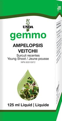 Ampelopsis Veitchii (125 Ml)