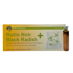 Radis Noir + (20x 10ml)