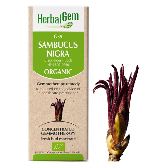 Sambucus Nigra (15ml)