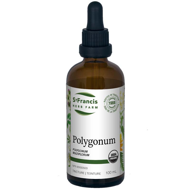 Polygonum (100ml)