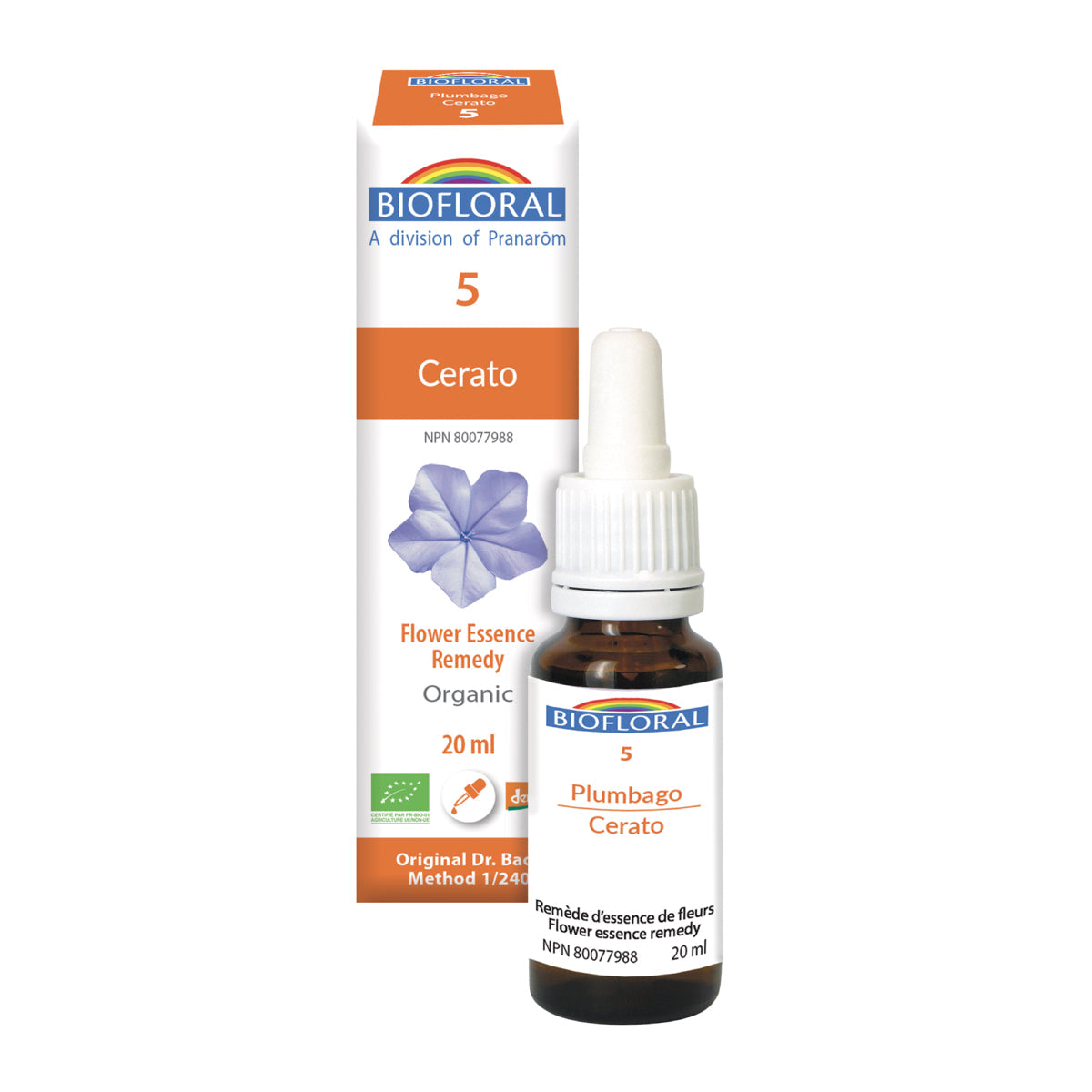 Plumbago (20ml)