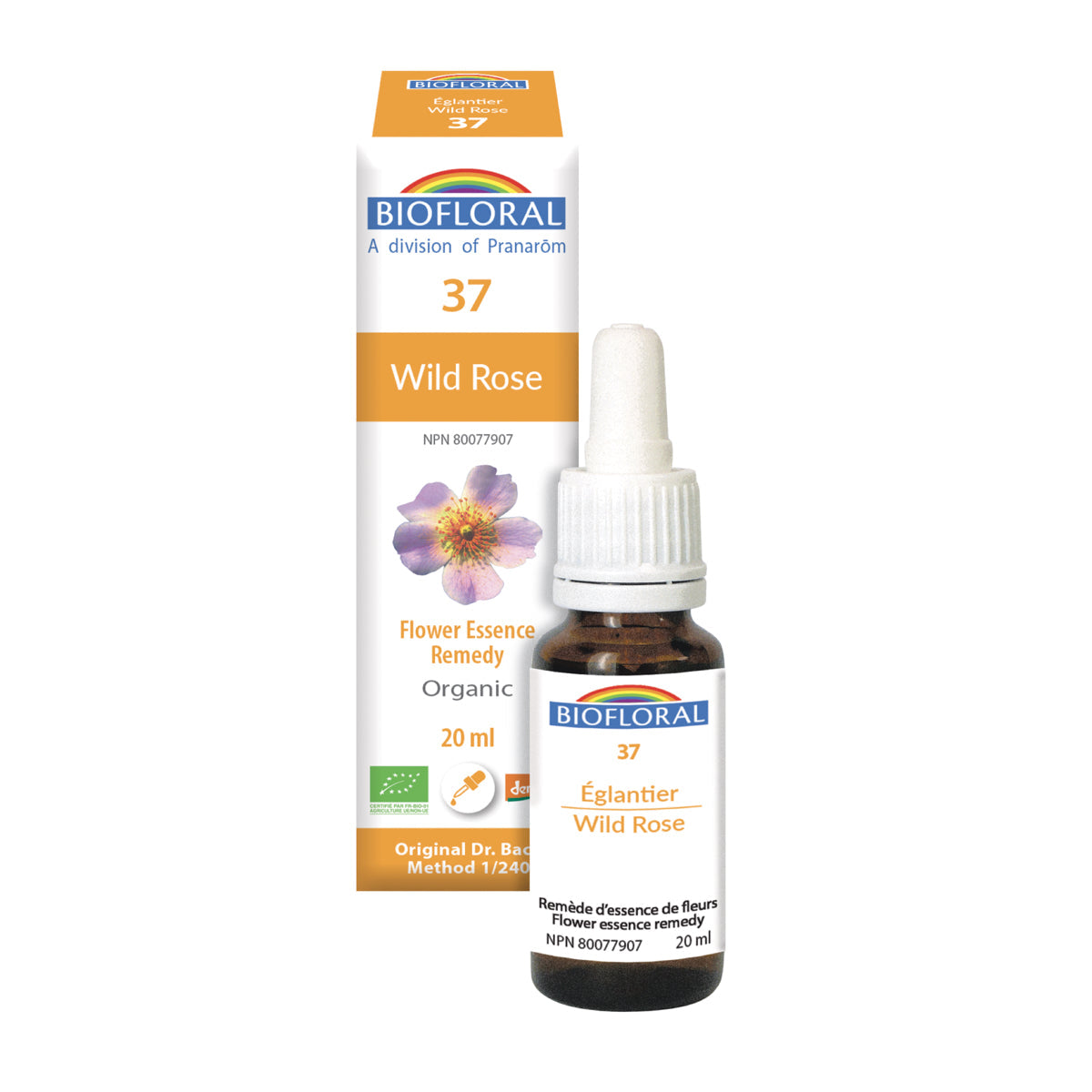 Eglantier (20ml)