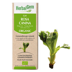 G41 Rosa Canina (50ml)