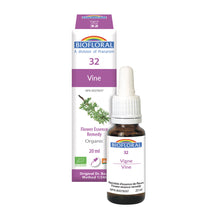 Vigne (20ml)