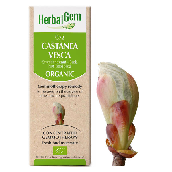 Castanea Vesca (50ml)
