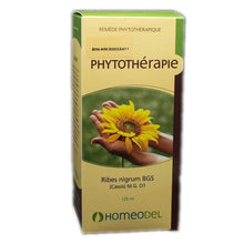 Gemmotherapie Ribes Nigra (120ml)
