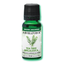 Huile Essentielle Melaleuca (15ml)