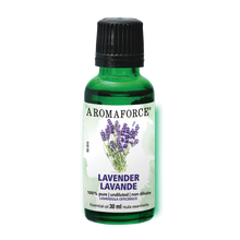 Huile Essentielle Lavande (30ml)