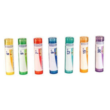 Magnesium Sulfuricum 9ch (80 Graules)